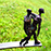 Agnes Keil,  kleine Bronze - gro&szlige Wirkung